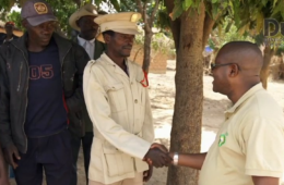 Development Workshop – Filme Institucional