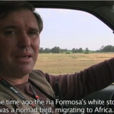 Vigias no Ar – Documentário