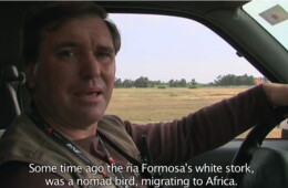 Vigias no Ar – Documentary